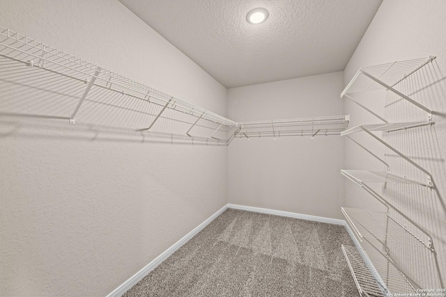 spacious closet with carpet flooring