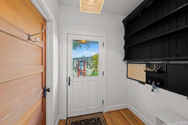 entryway with hardwood / wood-style floors