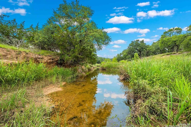 view of local wilderness with a water view