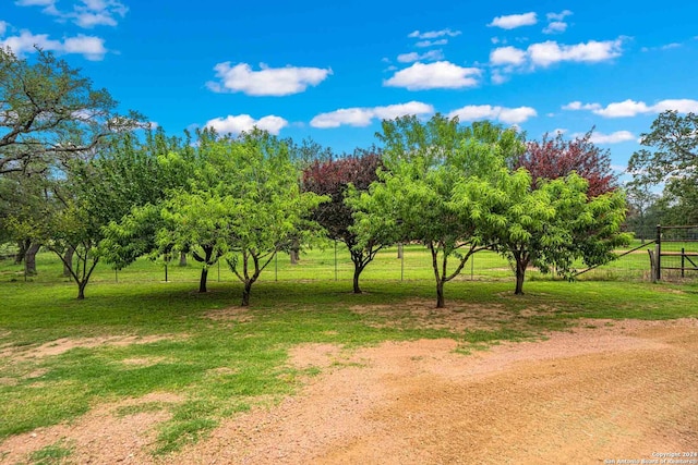 view of yard featuring a rural view