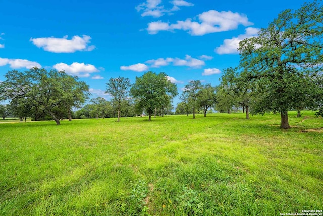 view of yard featuring a rural view