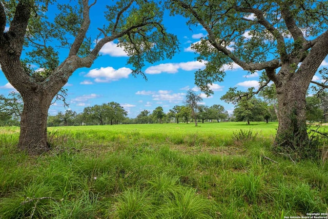 view of nature featuring a rural view