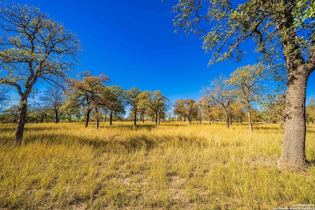 view of local wilderness featuring a rural view