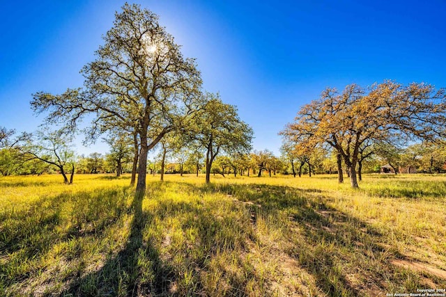 view of local wilderness featuring a rural view