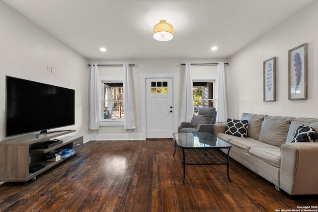 living room featuring dark wood-type flooring