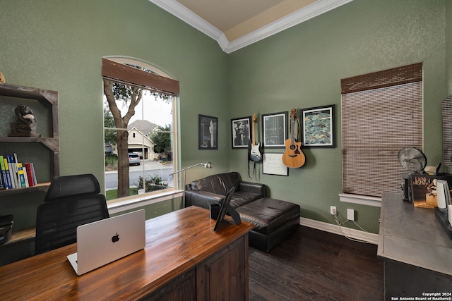 office space featuring crown molding and dark hardwood / wood-style flooring