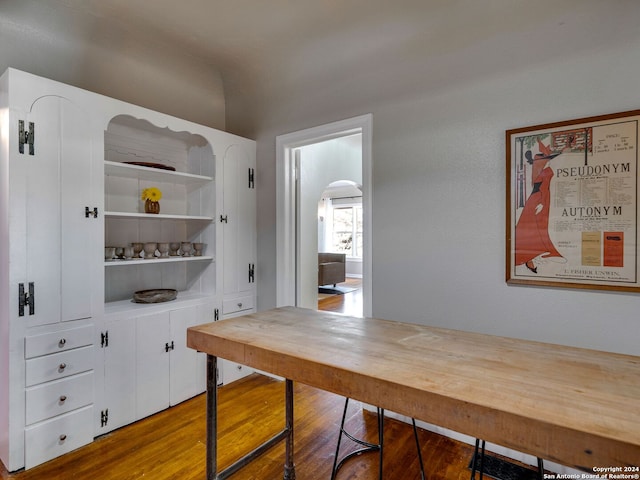 office featuring wood-type flooring