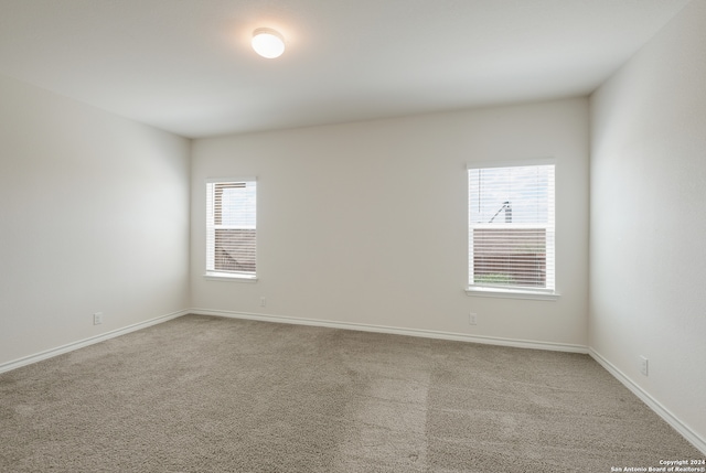 spare room featuring plenty of natural light and carpet