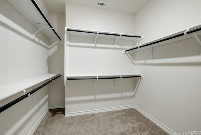 walk in closet with light colored carpet