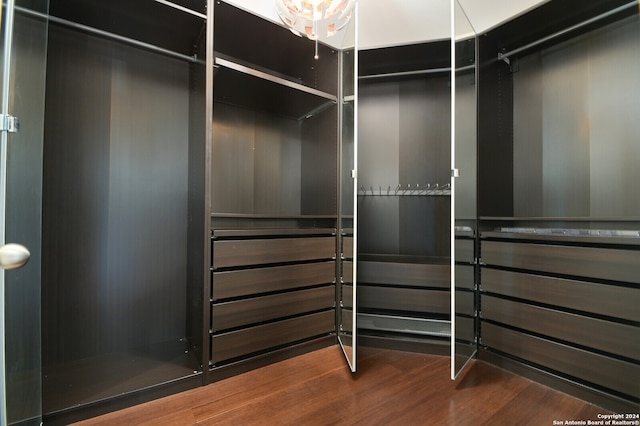 walk in closet with hardwood / wood-style floors