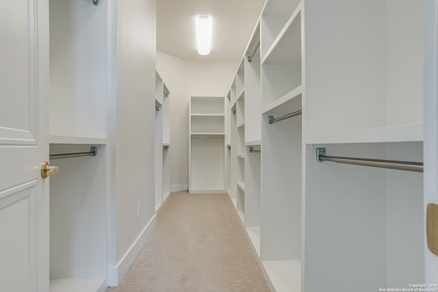 spacious closet featuring light carpet