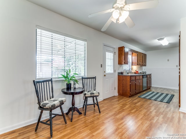 kitchen with ceiling fan, dishwasher, light hardwood / wood-style floors, and sink