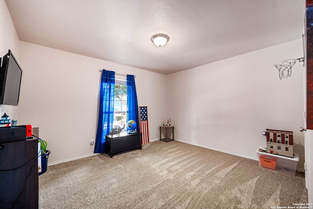 miscellaneous room featuring a textured ceiling and carpet flooring