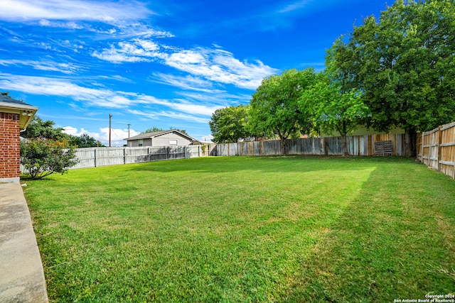 view of yard