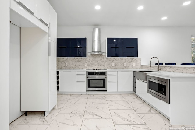 kitchen with white cabinets, sink, tasteful backsplash, wall chimney exhaust hood, and stainless steel appliances