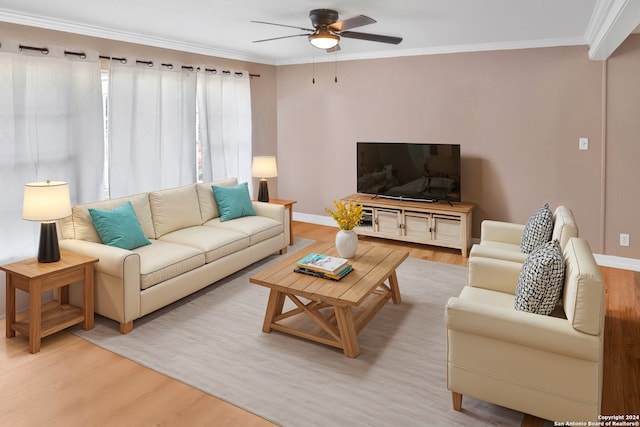 living room featuring ceiling fan, light wood-type flooring, and crown molding