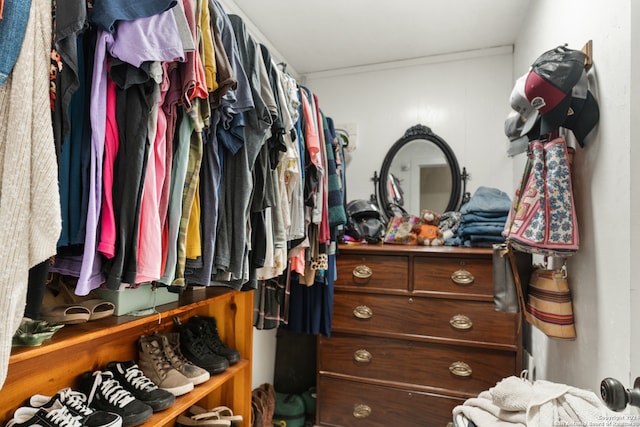 view of walk in closet