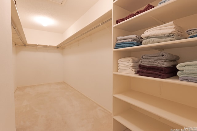 walk in closet featuring carpet floors