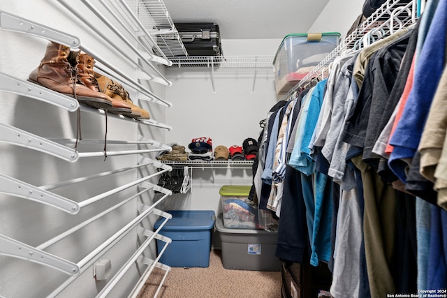 walk in closet with carpet flooring