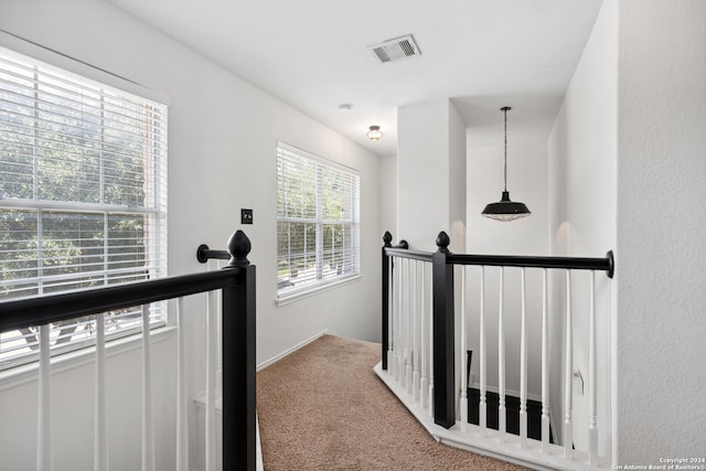 hall featuring carpet flooring