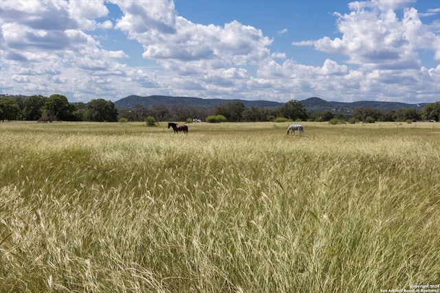 view of mountain feature featuring a rural view