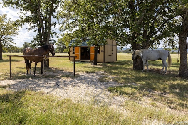 view of yard featuring a storage shed and a rural view