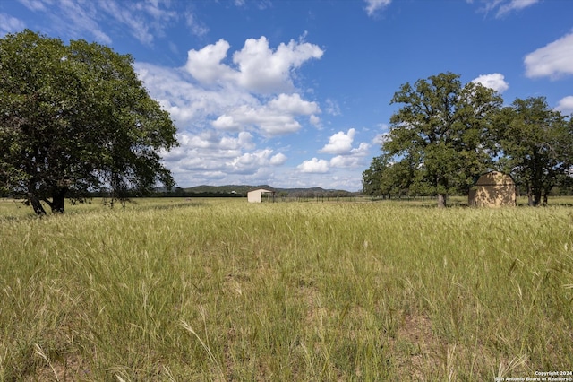 view of local wilderness with a rural view