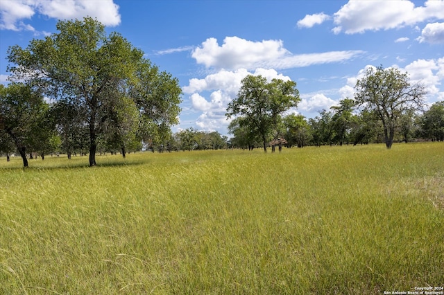 view of nature with a rural view