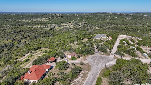 Listing photo 3 for 219 County Road 2741, Mico TX 78056