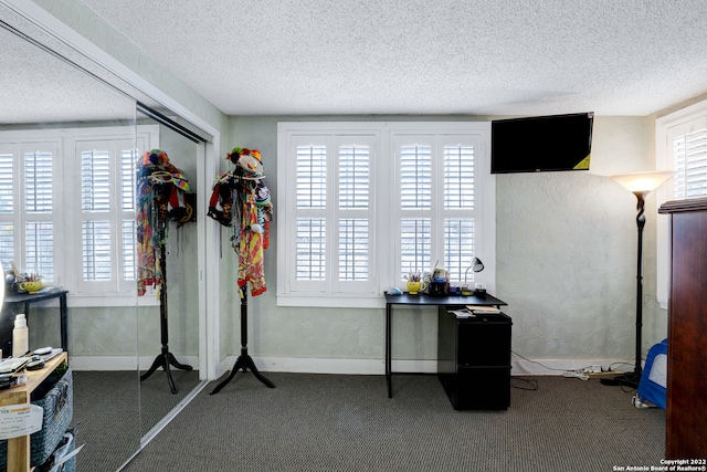 miscellaneous room with a textured ceiling and carpet floors