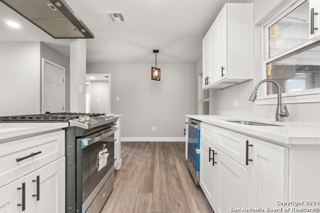 kitchen featuring hardwood / wood-style flooring, sink, white cabinets, hanging light fixtures, and stainless steel appliances