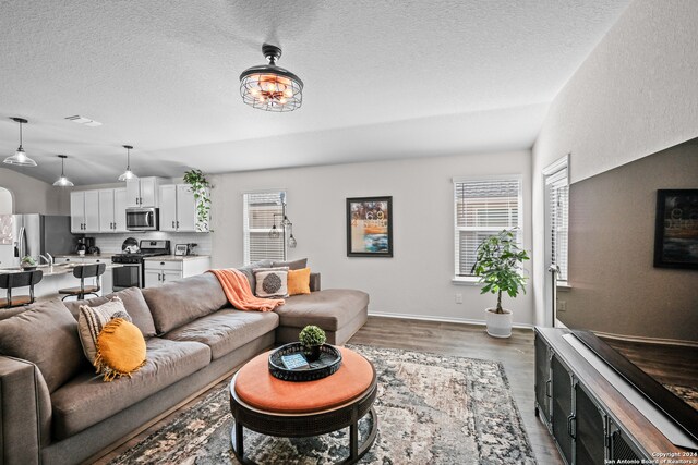 living room featuring wood-type flooring, a textured ceiling, and lofted ceiling