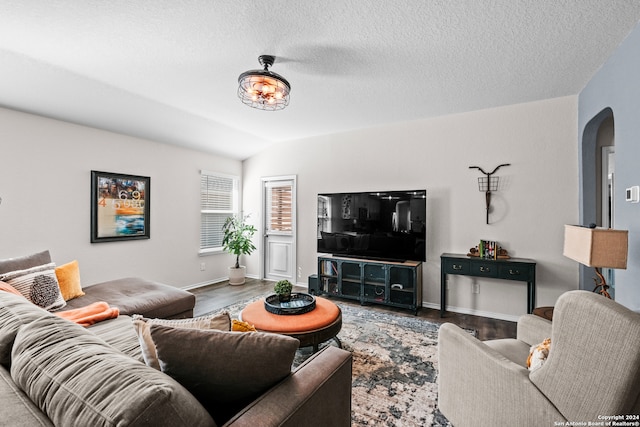 living room featuring wood-type flooring and vaulted ceiling