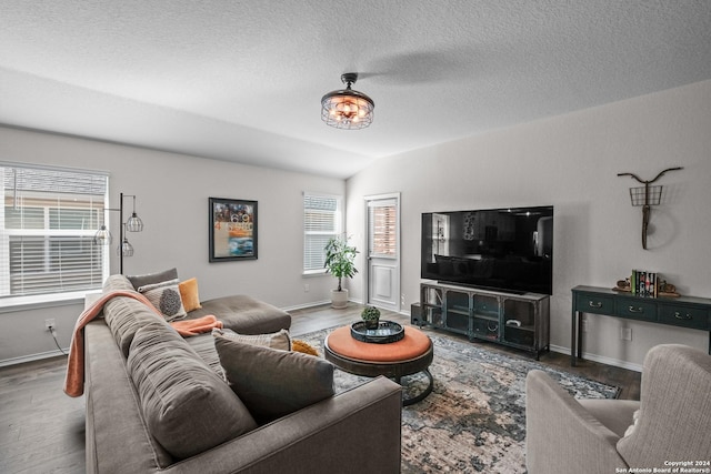 29710 Spring Copper, Bulverde, TX 78163 - living room featuring baseboards, a textured ceiling, lofted ceiling, and wood finished floors