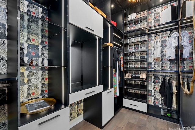 spacious closet featuring dark hardwood / wood-style floors