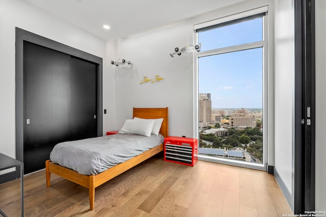 bedroom featuring light hardwood / wood-style floors and multiple windows