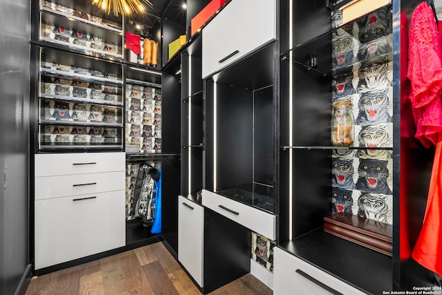 walk in closet featuring dark wood-type flooring