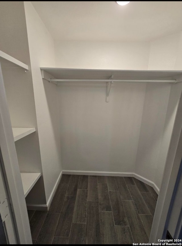 walk in closet featuring dark hardwood / wood-style floors