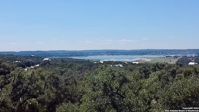 view of mountain feature with a water view