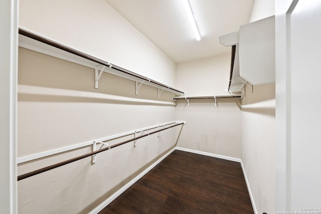 spacious closet with dark hardwood / wood-style flooring