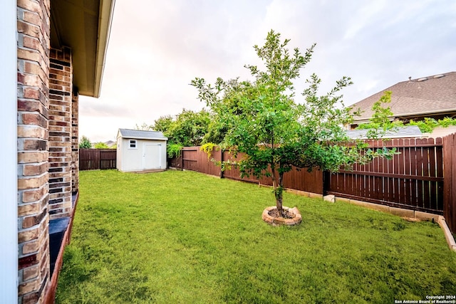 view of yard with a storage shed