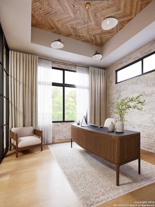 office with wood finished floors, a tray ceiling, and plenty of natural light