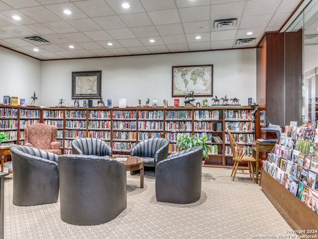 living area with a drop ceiling and carpet