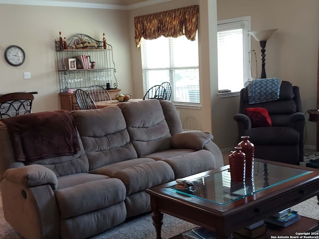 living room featuring ornamental molding