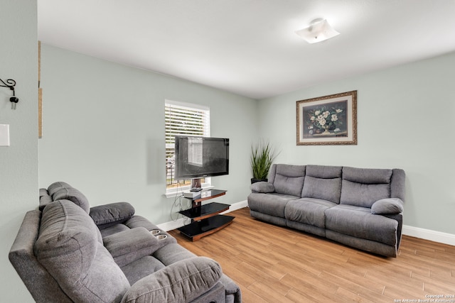 living room featuring light hardwood / wood-style flooring