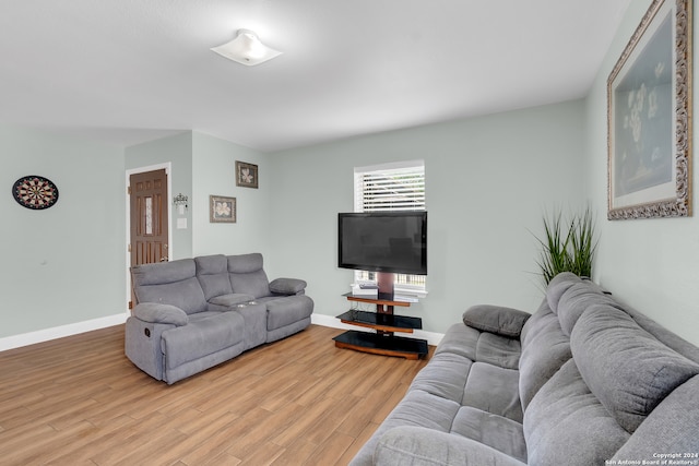 living room featuring hardwood / wood-style flooring