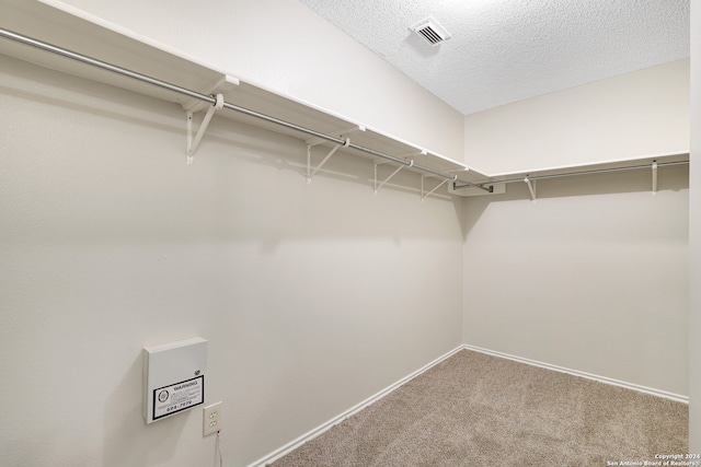 walk in closet featuring carpet floors