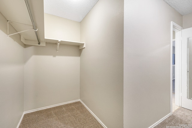 walk in closet with carpet floors