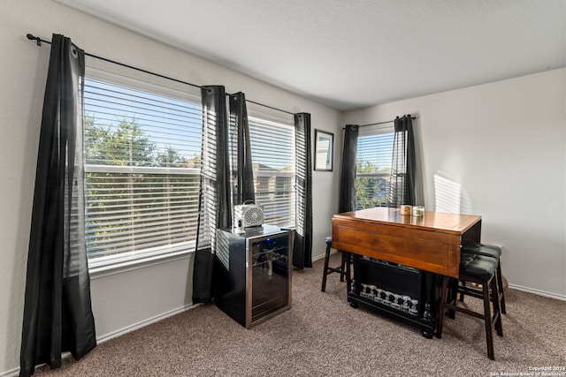 view of carpeted home office