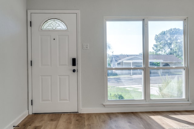 foyer entrance with light hardwood / wood-style floors and plenty of natural light